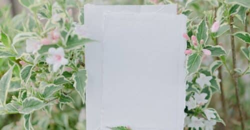 découvrez l'annonce officielle des gagnants et explorez les détails du prix décerné lors de notre événement exclusif. ne manquez aucune information sur les lauréats et les prochaines étapes !