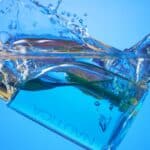 plongez dans une immersion artistique unique alliant créativité, émotions et découverte à travers des œuvres inspirantes et des expériences culturelles enrichissantes.