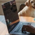 découvrez les avantages de l'édition indépendante : liberté créative, contrôle total sur vos œuvres et publication simplifiée pour auteurs et créateurs.