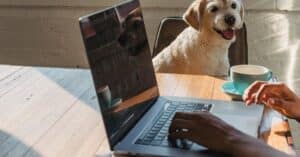 découvrez les avantages de l'édition indépendante : liberté créative, contrôle total sur vos œuvres et publication simplifiée pour auteurs et créateurs.