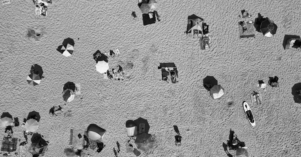 découvrez l'univers de régis loisel, auteur et illustrateur renommé de bandes dessinées, célèbre pour ses œuvres captivantes et son style unique.