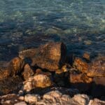 découvrez lucie servin, son parcours, ses compétences et ses réalisations. explorez son univers professionnel et personnel à travers une présentation complète.