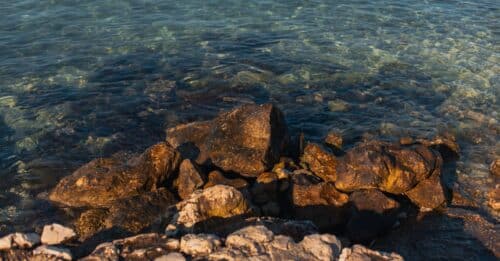 découvrez lucie servin, son parcours, ses compétences et ses réalisations. explorez son univers professionnel et personnel à travers une présentation complète.