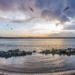 découvrez l'univers artistique de dino attanasio, illustrateur et auteur de bande dessinée renommé, reconnu pour ses œuvres captivantes et son style unique.