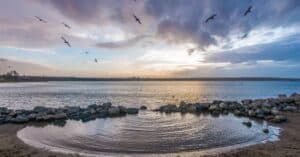 découvrez l'univers artistique de dino attanasio, illustrateur et auteur de bande dessinée renommé, reconnu pour ses œuvres captivantes et son style unique.