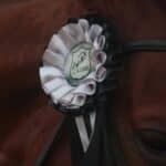 découvrez tout sur les franceinfo award 2026, les récompenses qui célèbrent l'excellence dans les médias et l'innovation en france.