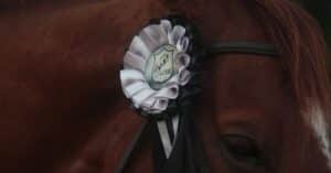 découvrez tout sur les franceinfo award 2026, les récompenses qui célèbrent l'excellence dans les médias et l'innovation en france.