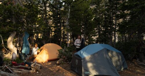 découvrez grand off, un événement incontournable qui célèbre la créativité et l'innovation à travers des expériences uniques et inspirantes.