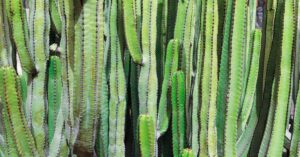 découvrez comment les enfants développent leur résistance et s'adaptent aux défis de leur environnement pour grandir en confiance et en sérénité.