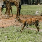 découvrez sanctuary, un lieu de paix et de sérénité où vous pouvez vous ressourcer et trouver refuge loin du tumulte quotidien.