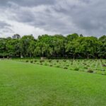 découvrez les événements majeurs, les causes et les conséquences de la seconde guerre mondiale, un conflit mondial qui a façonné l'histoire du xxe siècle.