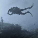 découvrez l'univers fascinant de la plongée sous-marine : techniques, équipements, sites incontournables et conseils pour explorer les fonds marins en toute sécurité.
