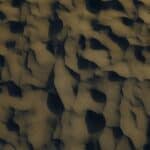 explorez la nature, sa beauté et sa diversité, et découvrez des conseils pour mieux comprendre et préserver notre environnement.